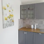 Villa Vila Dubravka - Komfortable Mit Pool Im Ruhigen Olivenhein *