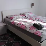 Villa Dubravka - Komfortable Mit Pool Im Ruhigen Olivenhein Valtura
