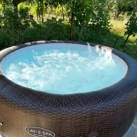 Villa Vila Dubravka - Schoen Und Komfortabel Inmitten Von Olivenbaeumen Und Weinbergen Mit Whirlpool Valtura