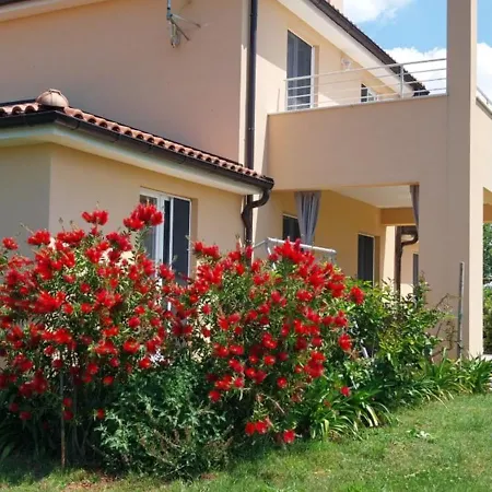 Dubravka - Schön Und Komfortabel Inmitten Von Olivenbäumen Und Weinbergen Mit Whirlpool Valtura